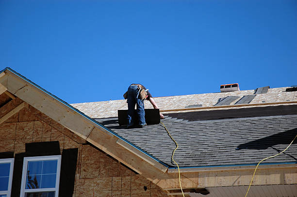 Best Gutter Installation and Roofing  in Carson City, MI