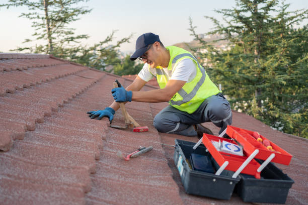 Best Flat Roof Repair Services  in Carson City, MI